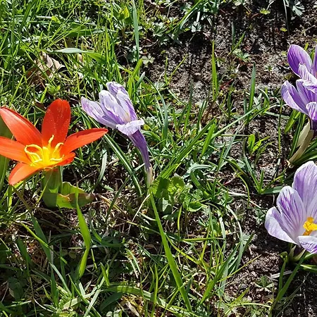 Lejlighed Casa Del Puiat